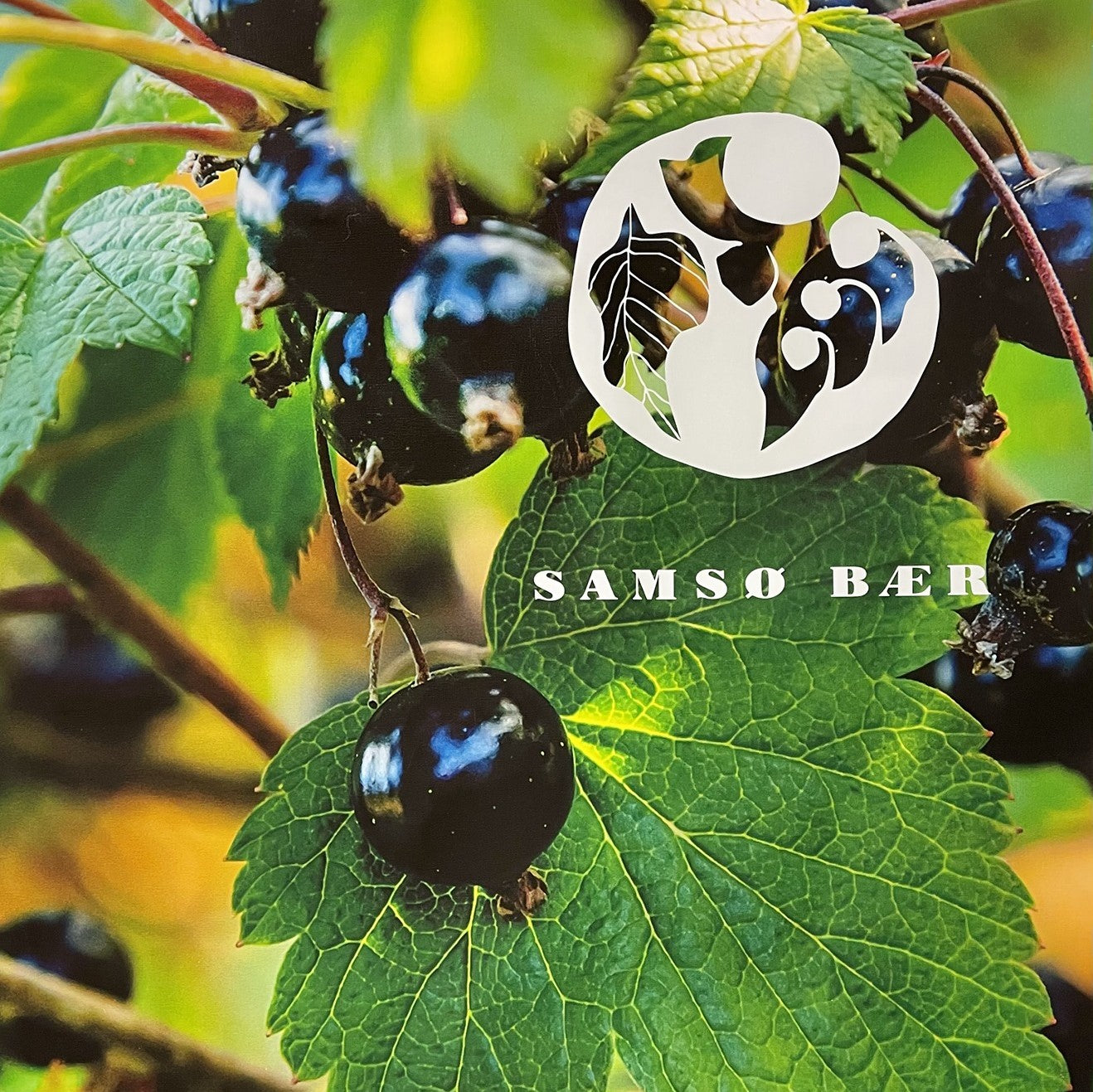 Samsø Bær