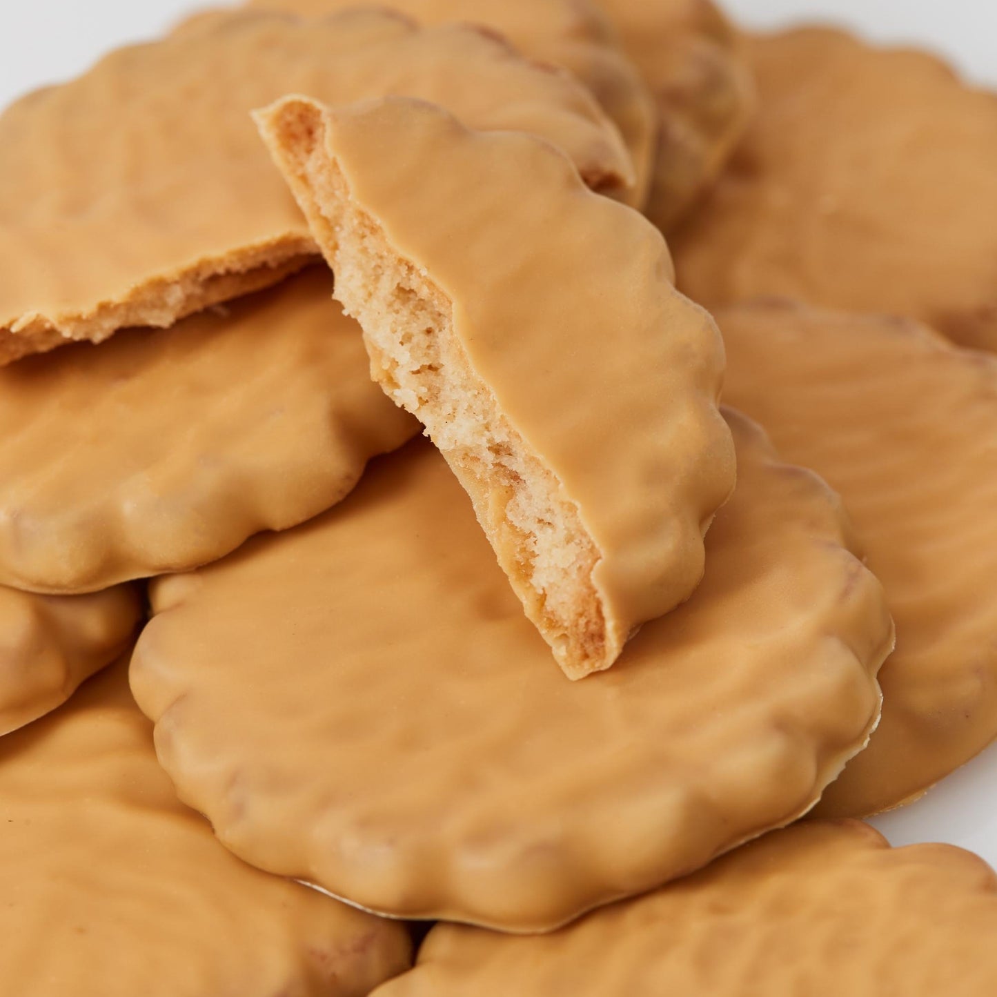 Summerbird - Amber Biscuit