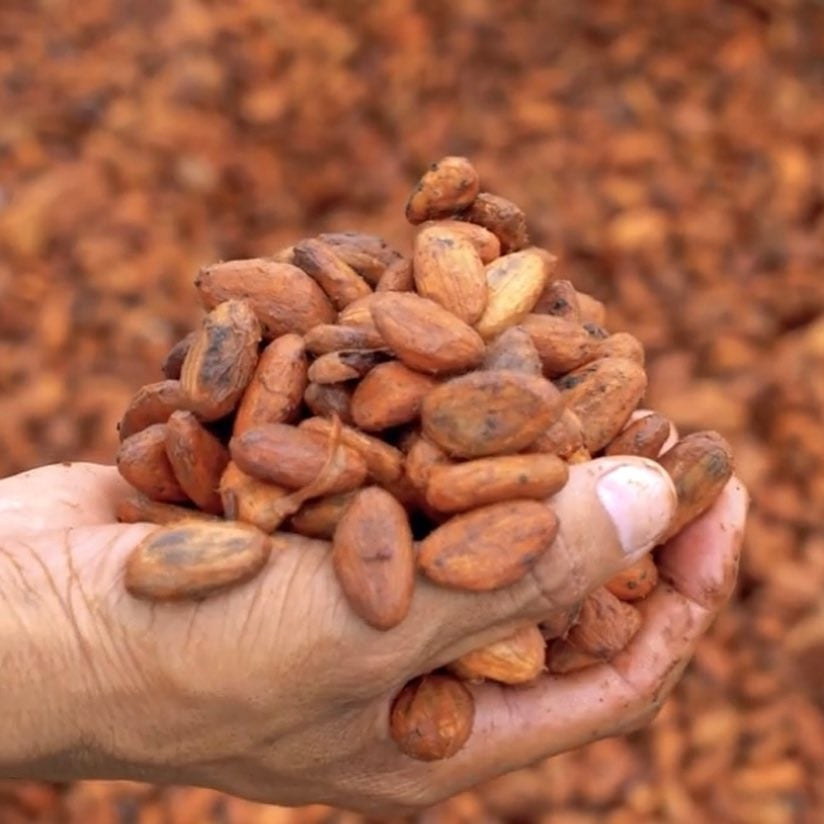 Höganäs Chocolate - 36% Mælkechokolade + Kaffe