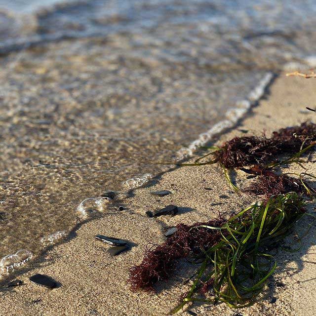 De Danske Øer - Strandkanten, Duftdiffuser