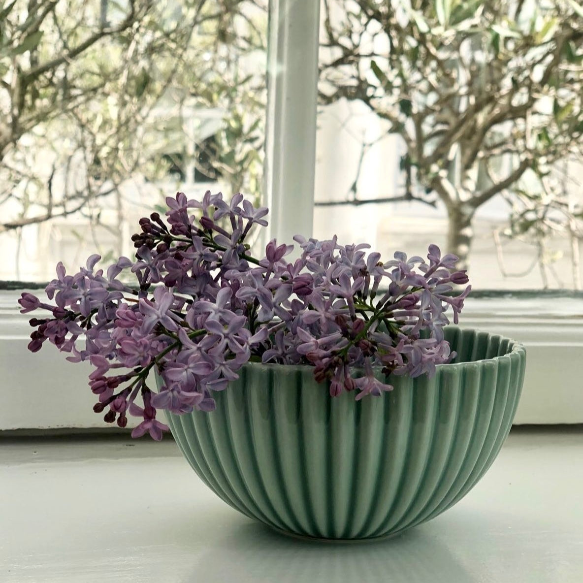 Dottir - Samsurium Snack Bowl, Celadon