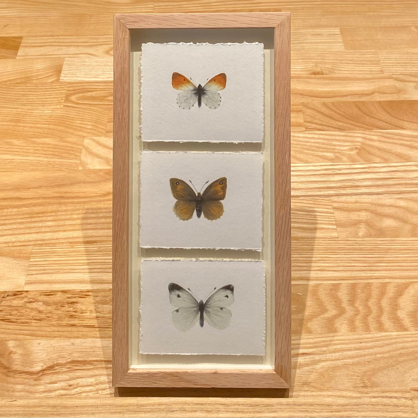 Nordic Reflections - 3 sommerfugle i ramme