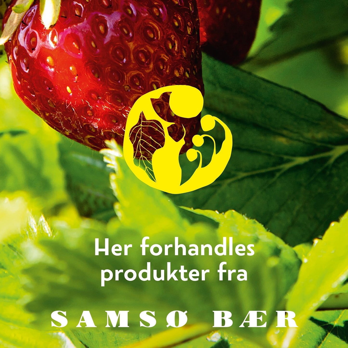 Samsø Marmelade -Jordbær