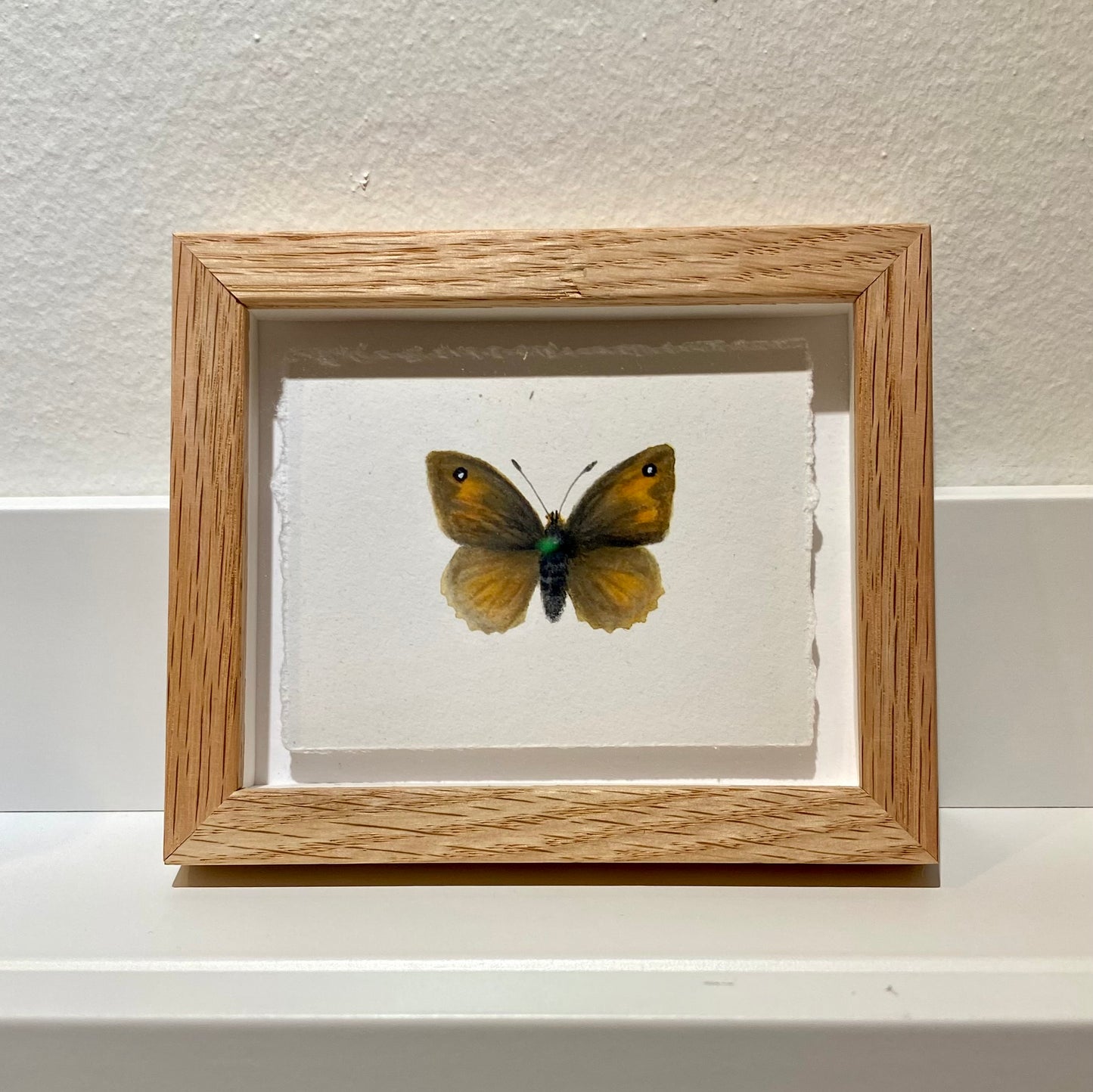Nordic Reflections - Græsrandøje sommerfugl i ramme